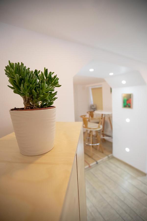 Brasha Residence 布拉索夫 外观 照片